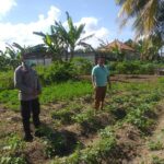 Polri Dukung Ketahanan Pangan Nasional Bhabinkamtibmas Jagaraga Ajak Petani Manfaatkan Lahan Produktif