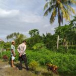 Polri Dukung Ketahanan Pangan di Dusun Tambang Eleh, Lombok Barat