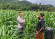 Sinergi Polri dan Petani di Lembar, Ketahanan Pangan Jadi Prioritas