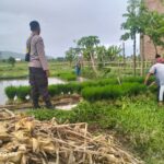 Polri Pantau Langsung Tanam Padi di Desa Lelede, Lombok Barat