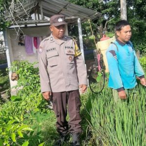 Polri Perkuat Swasembada Pangan di Desa Montong Are