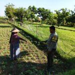 Polri di Lombok Barat Galakkan Ketahanan Pangan Skala Rumah Tangga