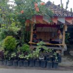 Polsek Kuripan Gandeng Warga Bangun Kemandirian Pangan Keluarga