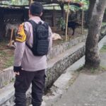 Inisiatif Bhabinkamtibmas di Lombok Barat: Pekarangan Jadi Lumbung Pangan