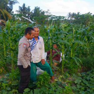 Bripka Rosyidi Motivasi Petani Kuripan Tingkatkan Produktivitas