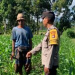 Sinergi Polri dan Petani Gerung dalam Wujudkan Ketahanan Pangan