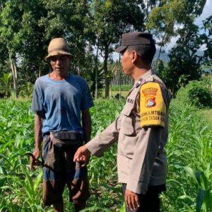 Sinergi Polri dan Petani Gerung dalam Wujudkan Ketahanan Pangan