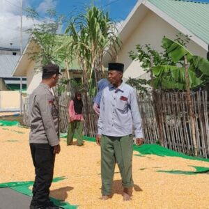 Dukung Program Ketahanan Pangan, Bhabinkamtibmas Desa Daha Laksanakan Pemantauan Hasil Panen Jagung Warga