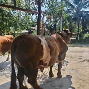 Ketua Bhayangkari Daerah Bengkulu Salurkan Bantuan Kemanusiaan bagi Korban Gempa