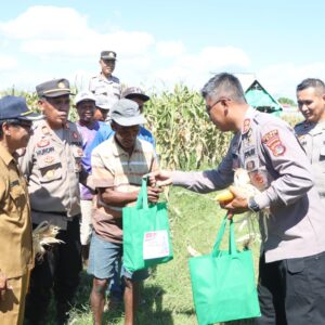 Presiden RI, Pimpin Panen Raya Jagung Kuartal II Serentak Secara Virtual, Kapolres Bima dan Forkompinda Kabupaten Bima Panen Jagung di Desa Rato