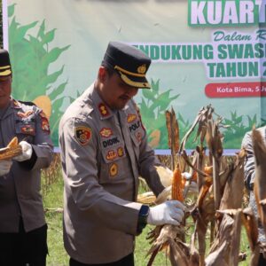 Polres Bima Kota Gelar Panen Raya Jagung Serentak Tahap Dua di Kelurahan Oimbo
