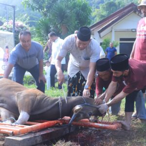 Kapolres Sumbawa Barat Pimpin Pemotongan Hewan Kurban
