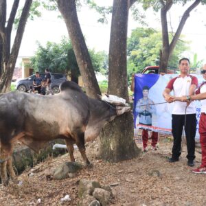 Polres Dompu Sembelih 22 Hewan Kurban, Bagikan Ratusan Paket Daging ke Warga Tak Mampu dan Pondok Pesantren