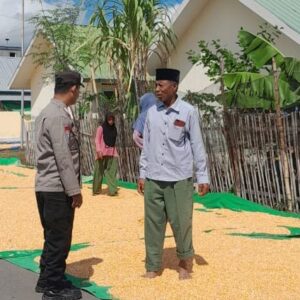 Bhabinkamtibmas Desa Daha Lakukan Pemantauan Hasil Panen Jagung dalam Rangka Mendukung Program Ketahanan Pangan Nasional
