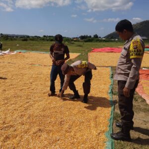 Bhabinkamtibmas Polsek Sape Laksanakan Patroli Sambang Dukung Program Ketahanan Pangan Nasional