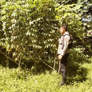 Sambut HUT Bhayangkara Ke-79 Polres Bima dan Polsek Jajaran Menggelar Lomba Ketahanan Pangan Nasional