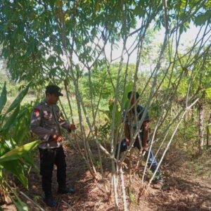 Semarak HUT Bhayangkara Ke-79, Polsek Soromandi Ikuti Lomba Pekarangan Pangan Bergizi