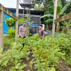 Polres Loteng Tinjau Pekarangan Lahan Bergizi Milik Warga di Desa Labulia.