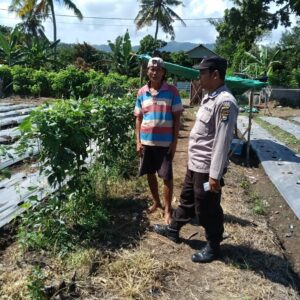 Bhabinkamtibmas Desa Bukit Damai Dampingi Warga Manfaatkan Lahan untuk Tanaman Pangan Bergizi