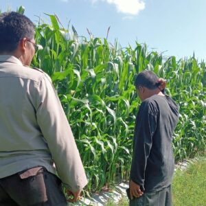 Polsek Gerung Intensifkan Sambang Desa Jembatan Kembar