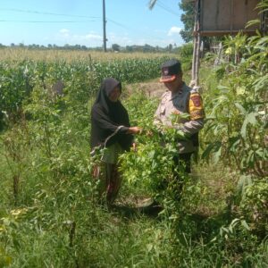 Bhabinkamtibmas Rhee Dampingi Warga Manfaatkan Pekarangan untuk Ketahanan Pangan