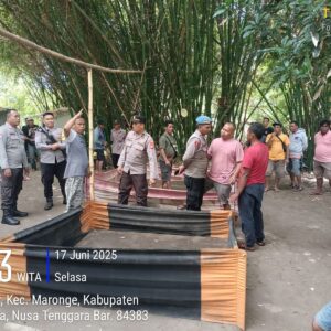 Polsek Plampang Bubarkan Kembali Kegiatan Sabung Ayam di Desa Pemasar 