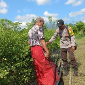 Dukung Penuh Indonesia Yang Swasembada Pangan, Bhabinkamtibmas Polsek Sanggar Pantau Lahan Sayur Milik Warga Binaan