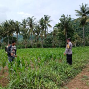 Polisi Bantu Petani: Sambang Pertanian di Dusun Pendem Baru