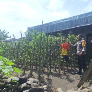 Bhabinkamtibmas Desa Luk Dorong Pemanfaatan Pekarangan untuk Ketahanan Pangan