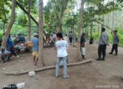 Polsek Lambu Bubarkan dan Bongkar Arena Sabung Ayam di Desa Melayu