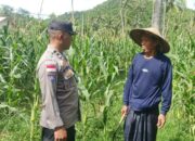 Ketahanan Pangan Dimulai dari Sekotong: Peran Aktif Bhabinkamtibmas Desa