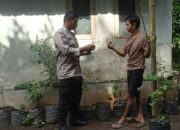 Sinergi Polri dan Warga Bangun Ketahanan Pangan di Desa Batulayar