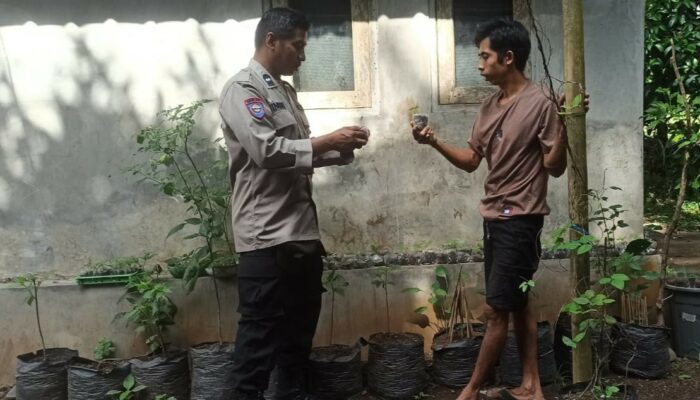 Sinergi Polri dan Warga Bangun Ketahanan Pangan di Desa Batulayar