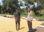 Dukung Penuh Program Prioritas Presiden RI, Bhabinkamtibmas Polsek Soromandi Aktif Bantu Kegiatan Petani