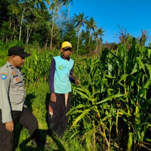 Kunjungan Humanis Polisi ke Lahan Jagung Dusun Tendaun