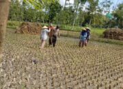 Polres Loteng Tinjau Pekarangan Lahan Bergizi Milik Warga