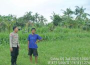 Pekarangan Jadi Lumbung Gizi: Inisiatif Polri di Dusun Sayong, Sekotong