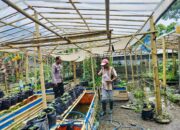 Sinergi Polri dan Warga Bajur dalam Mewujudkan Ketahanan Pangan Berkelanjutan