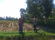 Bhabinkamtibmas Kuripan Edukasi Warga Soal Pertanian Pekarangan