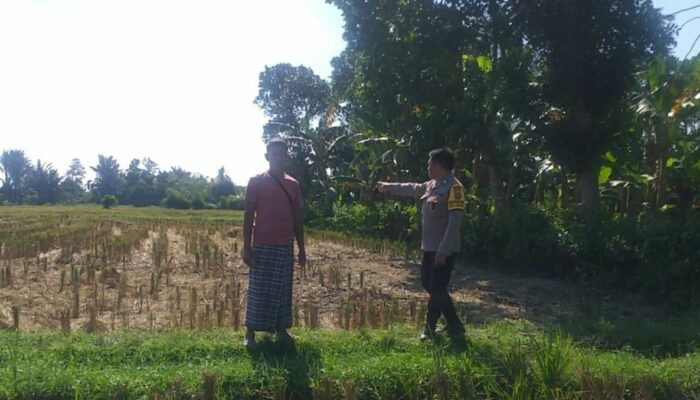 Bhabinkamtibmas Kuripan Edukasi Warga Soal Pertanian Pekarangan