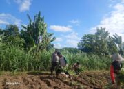 Polri Sambangi Petani Dusun Pendem Baru, Dorong Pemanfaatan Lahan Pekarangan