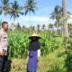 Sinergi Polri dan Petani Eyat Mayang Perkuat Ketahanan Pangan Nasional