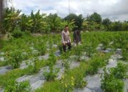 Polri Ajak Petani Dusun Tegal Manfaatkan Lahan Kosong untuk Swasembada Pangan