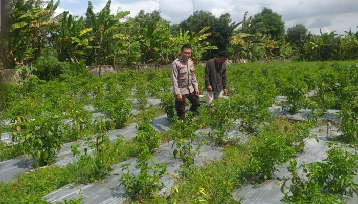 Polri Ajak Petani Dusun Tegal Manfaatkan Lahan Kosong untuk Swasembada Pangan