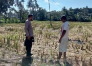 Polri dan Warga Kuripan Bangun Ketahanan Pangan dari Rumah