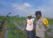 Polsek Kediri Libatkan Bhabinkamtibmas dalam Program Ketahanan Pangan di Desa Montong Are