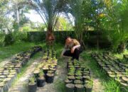 Ketahanan Pangan Dimulai dari Rumah: Polsek Labuapi Sosialisasi di Terong Tawah