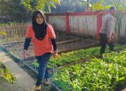 Pangan Mandiri dari Halaman Sendiri: Inisiatif KWT Pemangket Didukung Polri