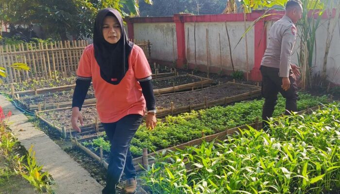 Pangan Mandiri dari Halaman Sendiri: Inisiatif KWT Pemangket Didukung Polri