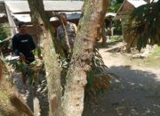 Sinergi Polisi dan Warga Dusun Begende Perkuat Swasembada Pangan